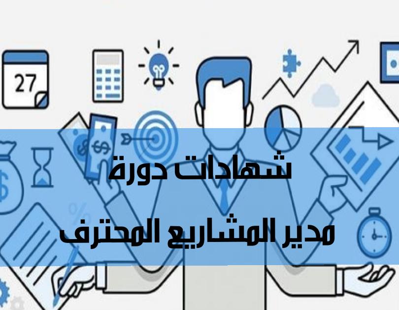 مدير المشاريع المحترف